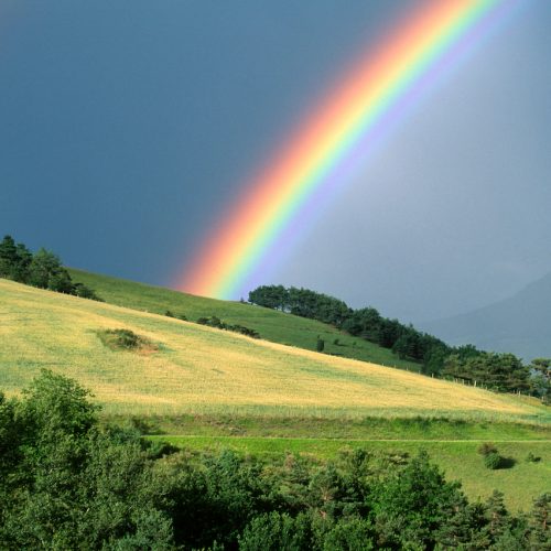 regenbogen aufmacher gettyimages 104637612 500x500